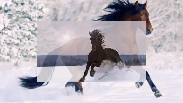Сыпал снег буланому под ноги... смотреть онлайн