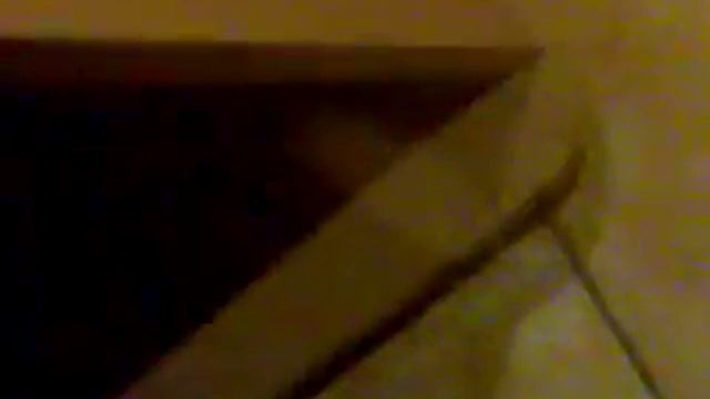 🐈 и такса 8 лет смотреть онлайн