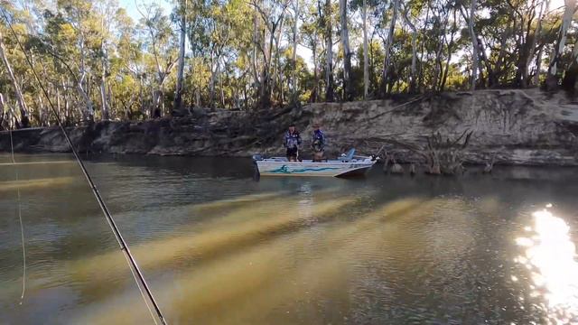 Murray Cod Fishing a few cod caught near the Four Post Deniliquin. смотреть онлайн