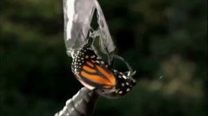 Внутренние миры, внешние миры / Inner Worlds, Outer Worlds (2012)