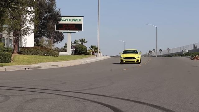 2021 Saleen "White Label" Mustang Road Test - Big Performance Mustang GT Pricing! смотреть онлайн