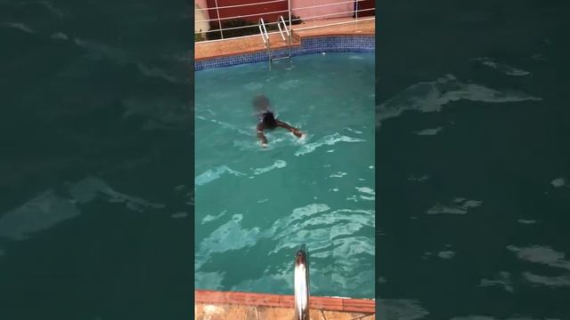 POOL MASTER 2 смотреть онлайн