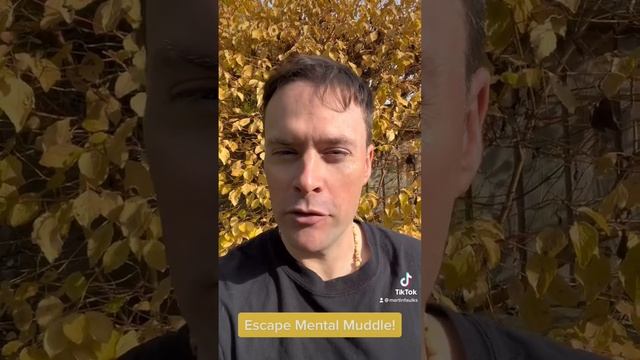 Escape Mental Muddle! смотреть онлайн