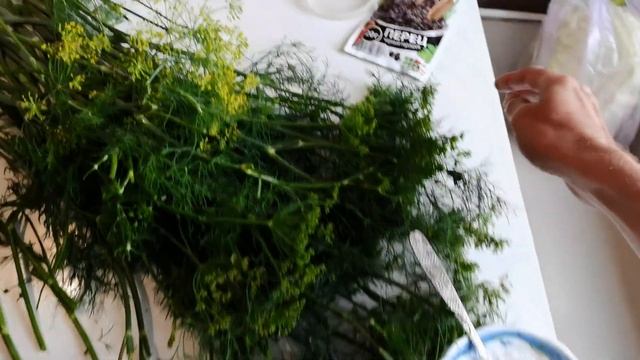 Интересные Факты о Животных