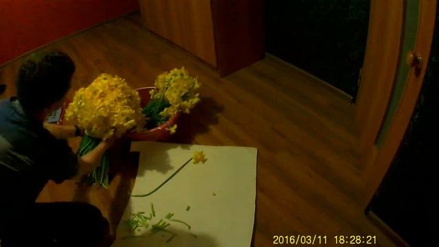 Красивый букет смотреть онлайн