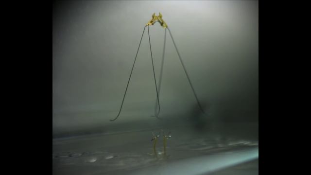 Robot Jumps Off Water: Emulating the natural locomotion of water strider insects смотреть онлайн