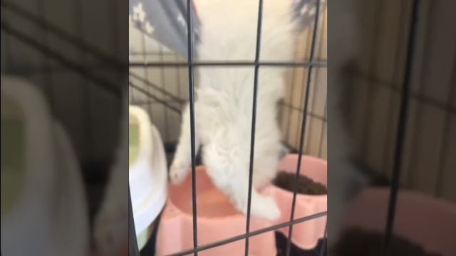 Имидж - ничто, жажда - все! смотреть онлайн