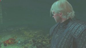 Как быстро убить жабу в каналах и расколдовать принца | Ведьмак 3 Дикая охота