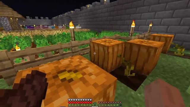 Фермерский район | Майнкрафт Ванилла ЛетсПлей [Прокачка Деревни] | Minecraft LetsPLay #11