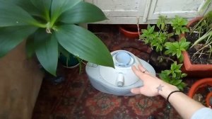 УВЛАЖНИТЕЛИ ВОЗДУХА ДЛЯ РАСТЕНИЙ: правдивый отзыв, какой же выбрать?