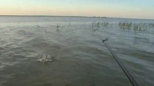 Сибирская рыбалка на Чанах часть 2