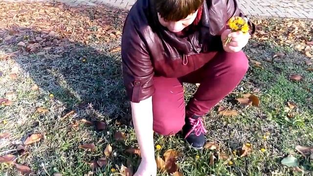 Первое декабря ст.Выселки !!! 1.12.2017г. смотреть онлайн