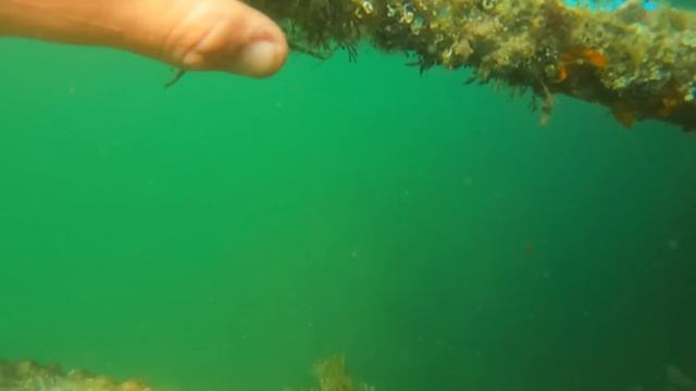 NEW BOAT!! Can't Believe What We Found 30ft Under BRIDGE Metal Detecting UNDERWATER смотреть онлайн