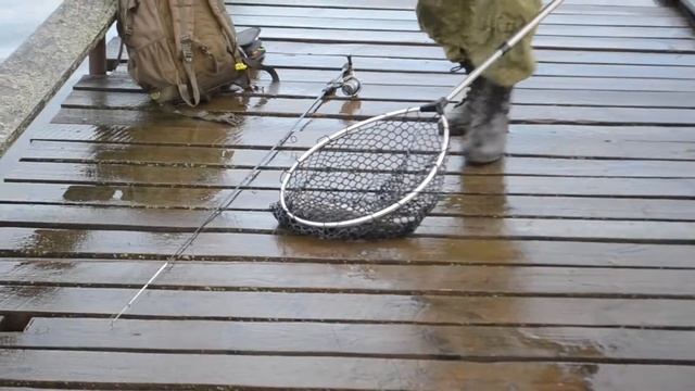 Онлайн с Vip участка ! смотреть онлайн