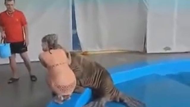 Улетное видео