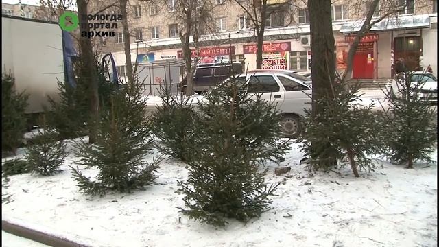 Подать заявку на торговлю новогодними елями можно до 17 декабря смотреть онлайн