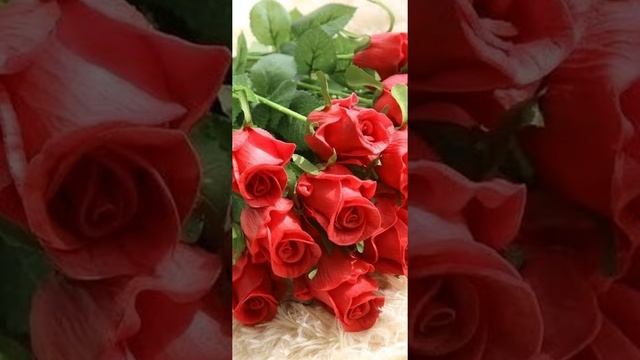 Горная Дигория лирика. автор стихотворения Антонина Хайманова смотреть онлайн