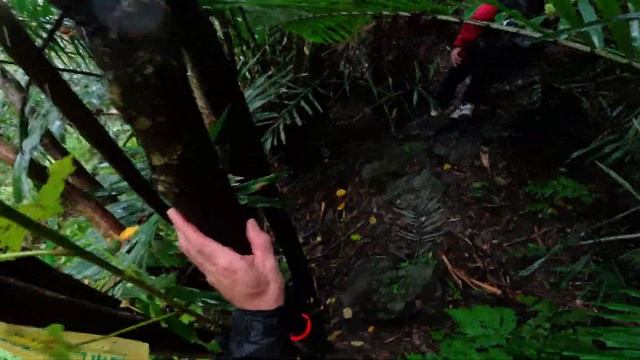 Тайвань путешествие в горы! Остров Тайвань путешествия в горы через джунгли. смотреть онлайн