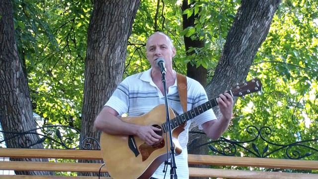 Сергей Кочетков - Журавли