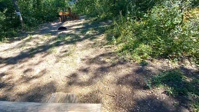 Влог идём в зоопарк. смотреть онлайн