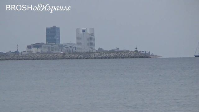 680.Давненько не была у моря! Зима в Израиле смотреть онлайн