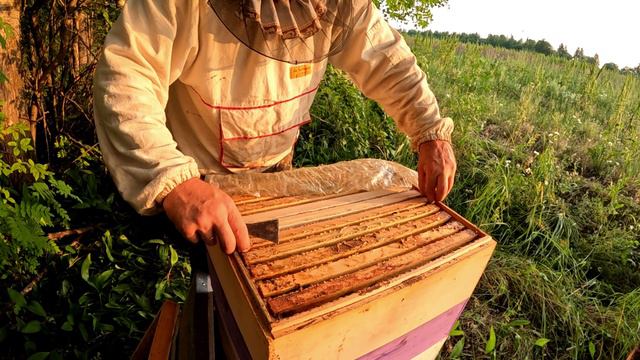 Выездной точок день второй смотреть онлайн