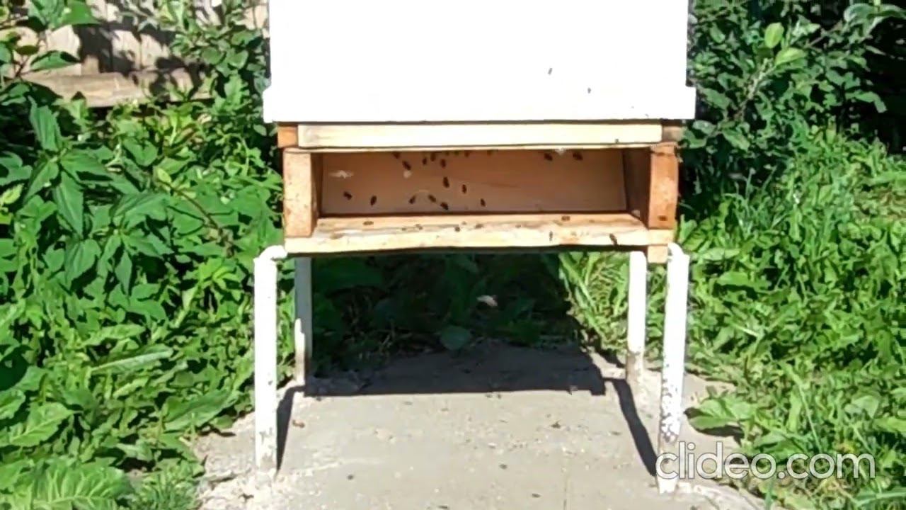 Прилетная доска. Какая? смотреть онлайн