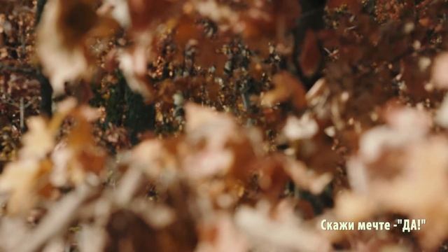 Поэзия – как состояние души. Валерия Абрагамович "Осень" смотреть онлайн