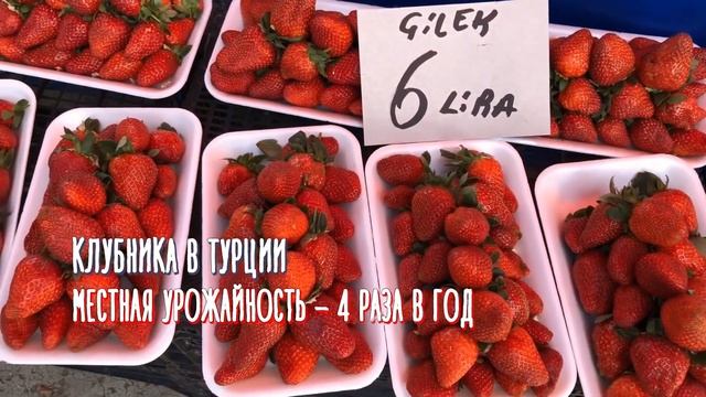 Турция зимой в январе. Курорты Анталии и Алании в ожидании гостей. смотреть онлайн