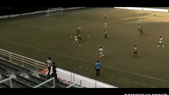Ronaldo De Peña - Skills, Goals & Assists. смотреть онлайн