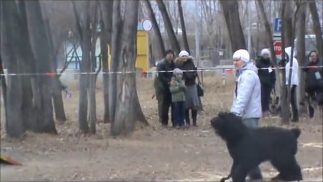 РЧТ Атака