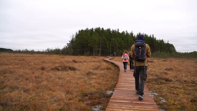 Экологическая тропа ООПТ Сестрорецкое болото (экотропа) смотреть онлайн