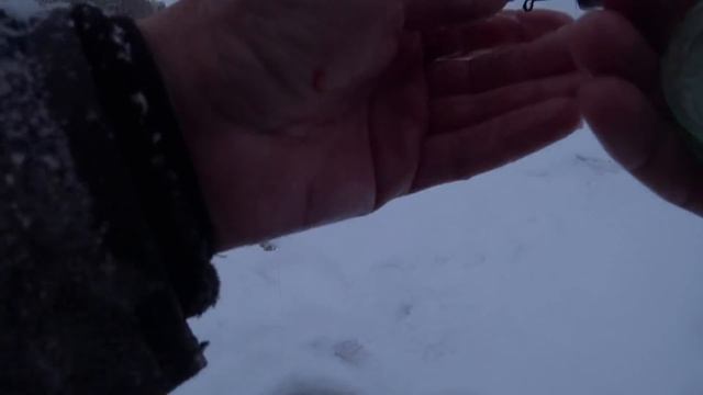 ВОЛОСЫ ДЫБОМ от ЭТИХ РЫБИН!ШОКИРУЮЩАЯ РЫБАЛКА!! Килограммовые окуни,судак ! Снегоход Бурлак Егерь смотреть онлайн