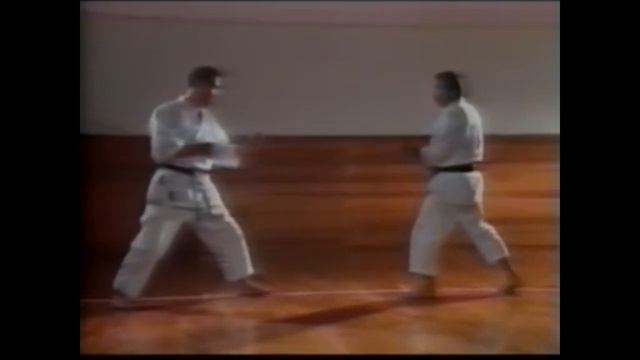 Masahiko Tanaka - Shotokan Karate смотреть онлайн