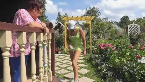 6 соток 17 июля 2024 года. Хроника.