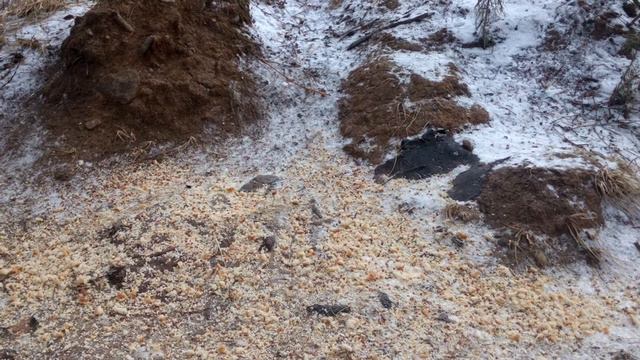 134) Мои чудные гульки!!! смотреть онлайн