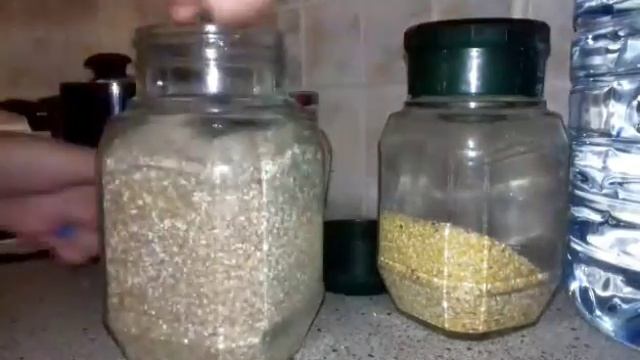 Как зделать зерносмеси для Улиток Ахатин. смотреть онлайн