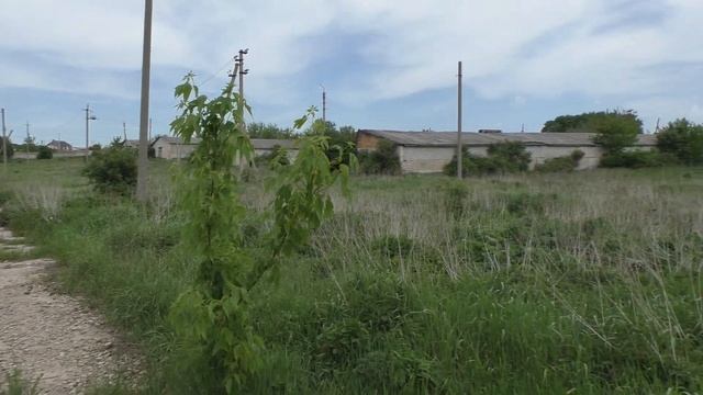 Коровник в Богословке. смотреть онлайн