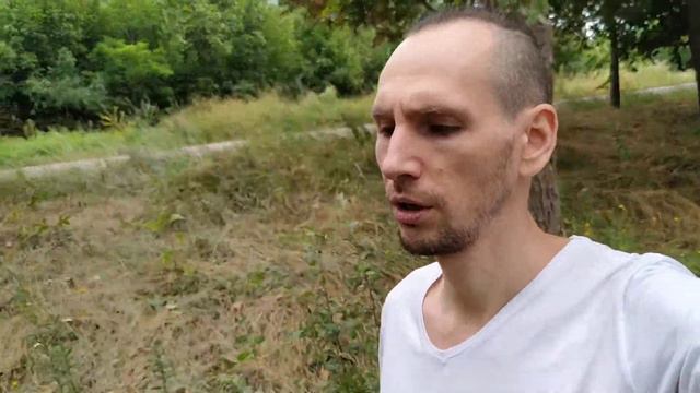 2 года на вегетарианстве. Что со мной случилось смотреть онлайн