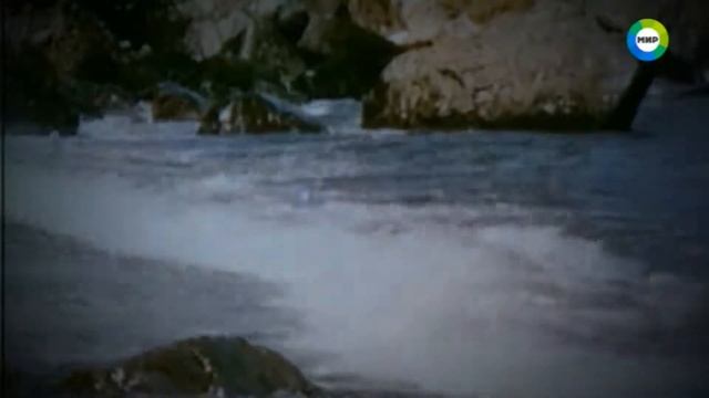 Тайные обитатели океана смотреть онлайн