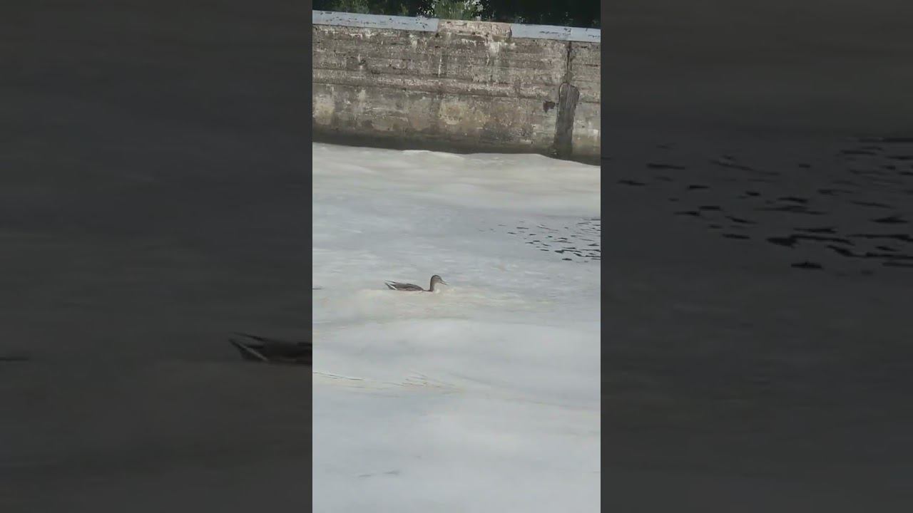 шлюзовалась без разрешения смотреть онлайн