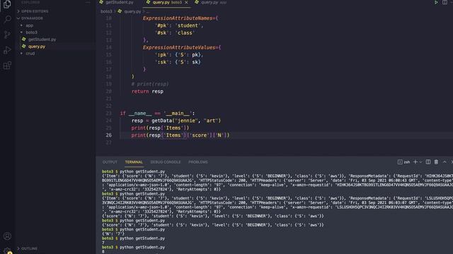 201 Lấy Dữ Liệu Từ Amazon DynamoDB dùng Python Boto3 P2 | QUERY hands on смотреть онлайн