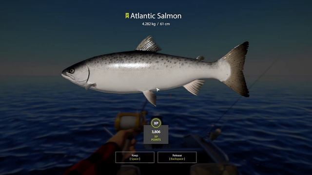 Ladoga Archipelago Active Spot Trolling - Russian Fishing 4 RF4 #410 смотреть онлайн