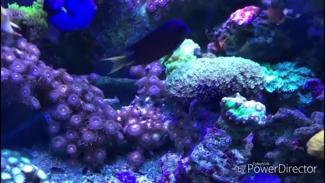 Белогрудый хирург получает прописку :))) смотреть онлайн