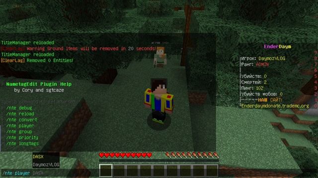 КАК СДЕЛАТЬ ПРЕФИКСЫ В ЧАТЕ, ТАБЕ, НАД ГОЛОВОЙ НА 5 МИНУТ? | Dimasik VLOG Minecraft смотреть онлайн