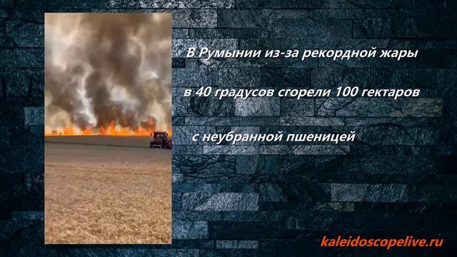 В Румынии из-за рекордной жары в 40 градусов сгорели 100 гектаров с неубранной пшеницей смотреть онлайн