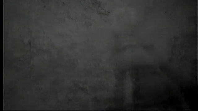 Pulsar Quantum Thermal Camera Footage - Scott Country смотреть онлайн