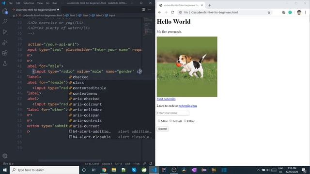 How To Select Radio Button By Default In HTML? HTML 11 смотреть онлайн