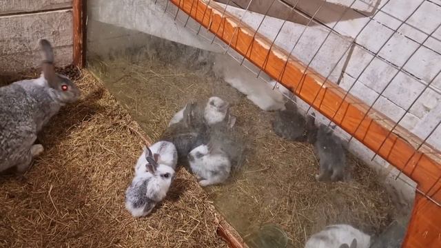 31 января 2023 г. смотреть онлайн