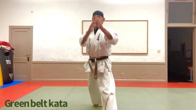 Enshin Karate/Sabaki-Kata 1-7 円心空手/ 型 смотреть онлайн